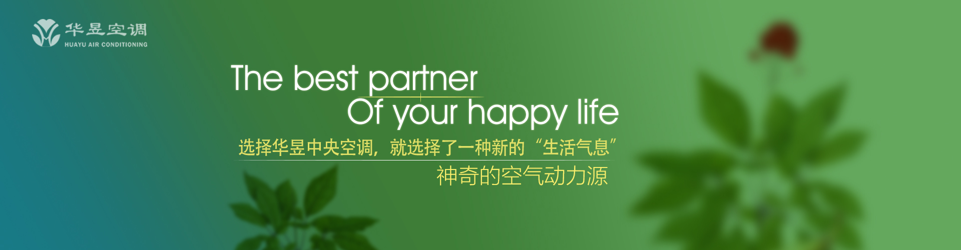如花似玉网